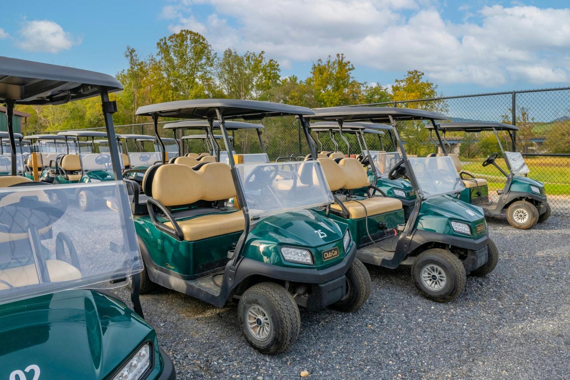 Luray Rv Resort On Shenandoah River Extérieur photo